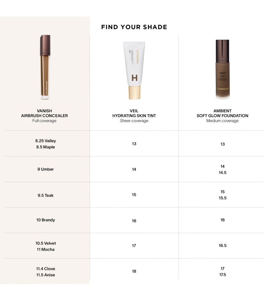 Vanish Airbrush Concealer