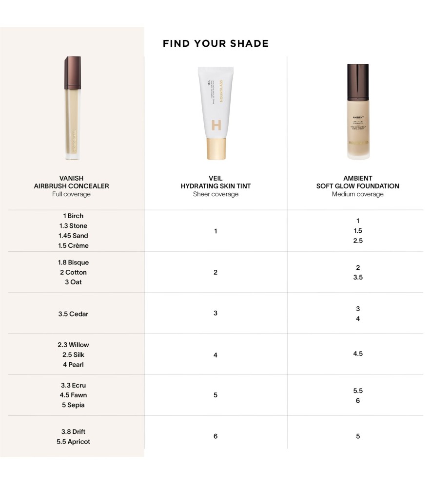 Vanish Airbrush Concealer