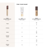 Vanish Airbrush Concealer