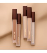 Vanish Airbrush Concealer